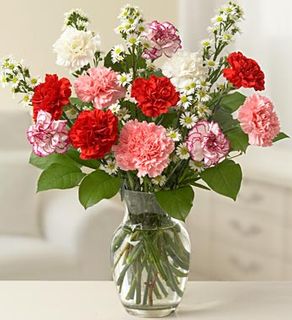 One Dozen Carnations