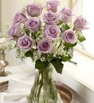 One Dozen Long Stem Purple Roses One Dozen Long Stem Purple Roses