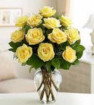 One Dozen Long-Stem Yellow Roses
