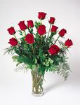 one dozen Red rose one dozen Red rose