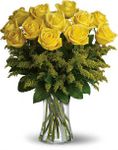 One dozen yellow roses