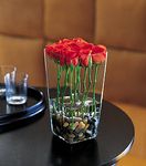 Orange Roses With River Rocks
