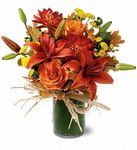 Orange Zest Flowers Orange Zest Flowers