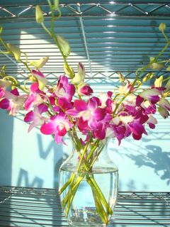 Orchid Bouquet