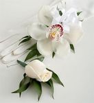 Orchid Corsage & Rose Boutonniere Package  Orchid Corsage & Rose Boutonniere Package