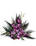 Orchids Basket Orchids Basket