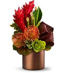 Paradise Island Paradise Island