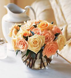 Pastel Roses small size