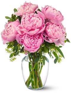 Peonies in Pink Delivery Irving, TX Available Delivery