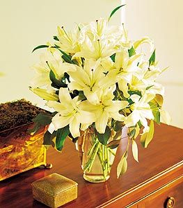 Perfect White Lilies