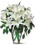 Perfect White Lilies