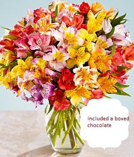Peruvian Lilies