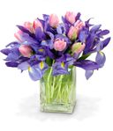 Pink and Blue Surprise Pink and Blue Surprise