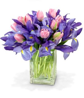 Pink and Blue Surprise