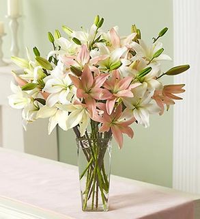 Pink and White Lilies 