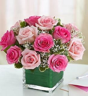 Pink and white roses