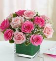 Pink and white roses