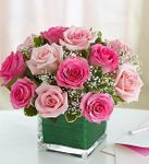 Pink and white roses or lavender