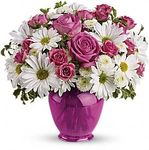 Pink Daisy Delight
