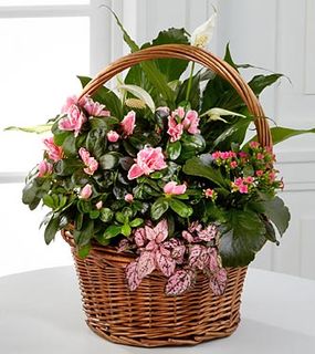 Pink Inspirations Dish Garden
