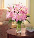 Pink Lily Arrangement Pink Lily Arrangement