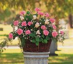 Pink Reverence Arrangement
