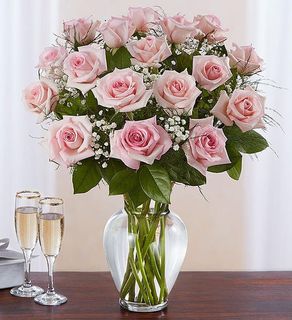 PINK rose