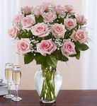 PINK rose