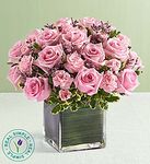 Pink Rose Fancy Pink Rose Fancy