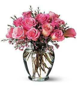 Pink  Roses 