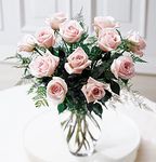 Pink Roses Pink Roses