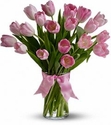 Pink Tulips Pink Tulips