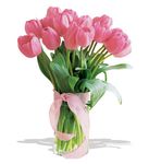 Pink Tulips 