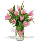 Pink Tulips