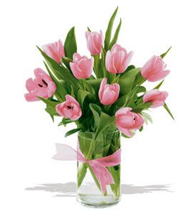 Pink Tulips