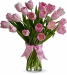 Pink Tulips Flowers