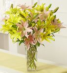 Pink & Yellow Lily Bouquet