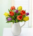 Pitcher Full of Tulips Pitcher Full of Tulips