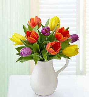 Pitcher Full of Tulips 