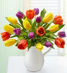 Pitcher Full of Tulips 