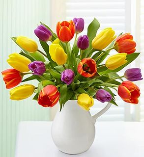 Pitcher Full of Tulips 