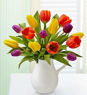 Pitcher Full of Tulips 