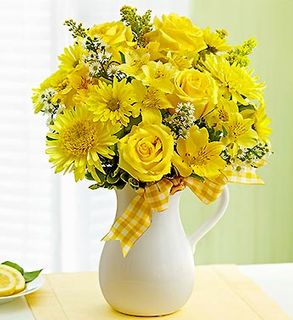 Pitcher of Sunshine 