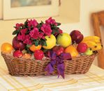 Plant and Fruit Gift Basket