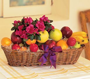 Plant and Fruit Gift Basket