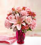 Pleasantly Pink Pleasantly Pink