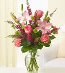 Pleasantly Pink Pleasantly Pink