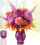 Plum Crazy for Fall  Plum Crazy for Fall