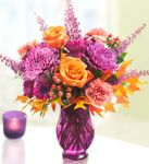 Plum Crazy for Fall 
