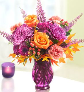 Plum Crazy for Fall 